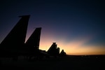 U.S. Air Force F-15C Eagles are parked during Exercise Pitch Black 2022 at Royal Australian Air Force Base Darwin, Australia, Sept. 1, 2022. Pitch Black began in 1981 and was initially limited to Australian participation until 1983, the U.S. being the first international participant. With the goal of enhancing combat readiness and interoperability between the partner nations, many participants have joined Pitch Black since then, this year being the first year the Republic of Korea Air Force, Japan Air Self-Defense Force, and German Air Force fully participated. (U.S. Air Force photo by Staff Sgt. Savannah L. Waters)