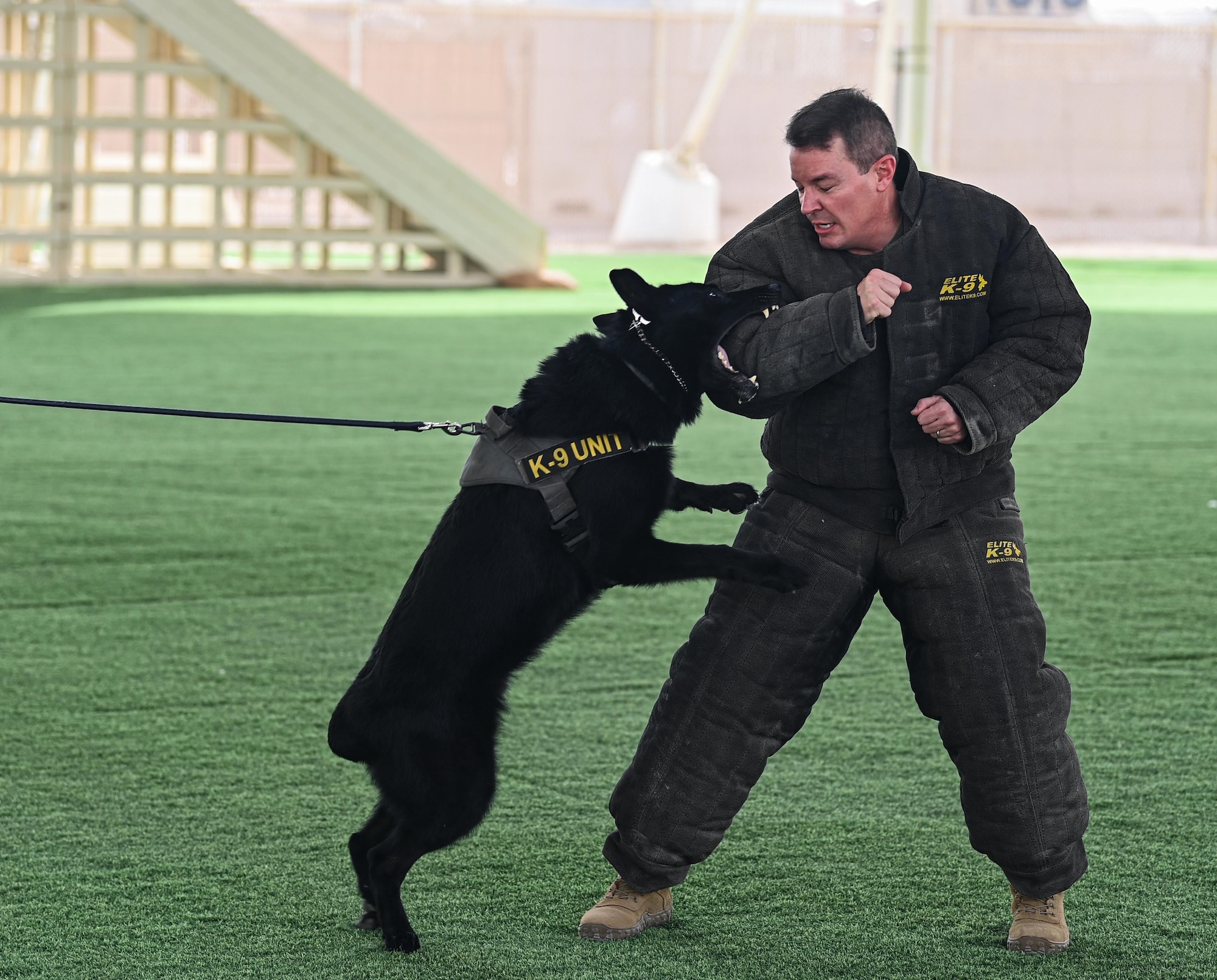Tomi, a military work dog with the 379th Expeditionary Security Forces Squadron, bites down on U.S. Air Force Brig. Gen. Jeffrey Nelson, 379 Air Expeditionary Wing commander during a K-9 demonstration Sept. 12, 2022 at Al Udeid Air Base, Qatar. Nelson wore a protective suit during the demonstration and learned firsthand how military working dogs operate. (U.S. Air National Guard photo by Master Sgt. Michael J. Kelly)