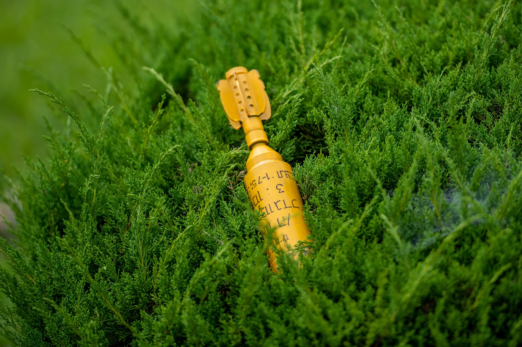 A simulated unexploded ordnance (UXO) is discovered in a bush during a base-wide training event