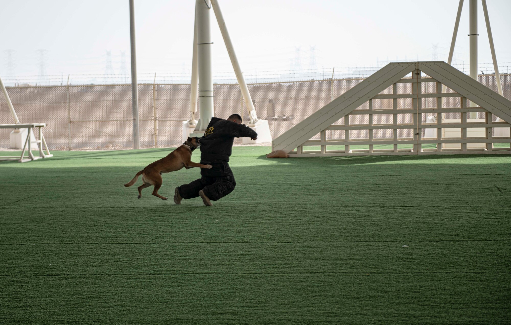 Bico, a military work dog with the 379th Expeditionary Security Forces Squadron, takes down U.S. Air Force Chief Master Sgt. Joseph Arce, 379th Air Expeditionary Wing command chief, during a K-9 demonstration Sept. 12, 2022 at Al Udeid Air Base, Qatar. Arce took an active role in the demonstration by simulating the actions of an assailant. (U.S. Air National Guard photo by Master Sgt. Michael J. Kelly)