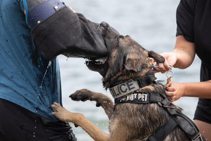 Photo by Lance Cpl. David Getz