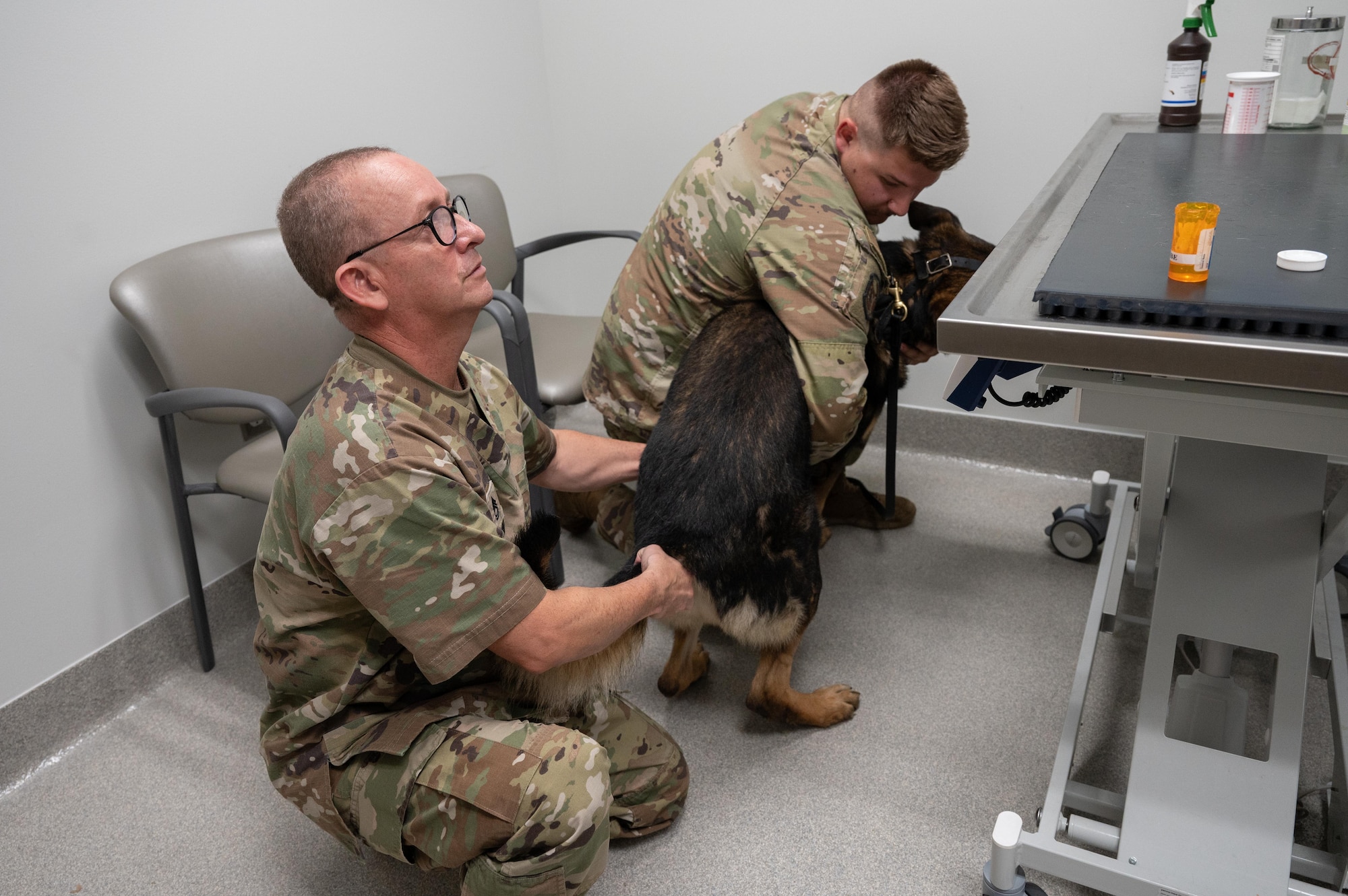 The veterinary clinic sees a Military Working Dog for a checkup