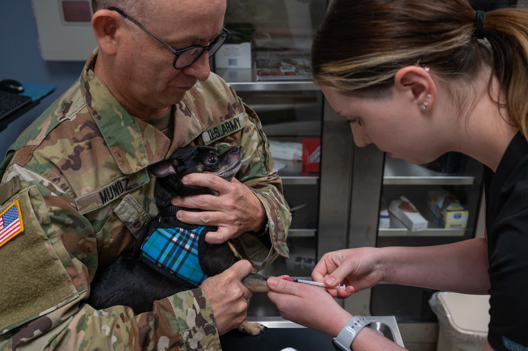 The veterinary clinic sees a Military Working Dog for a checkup