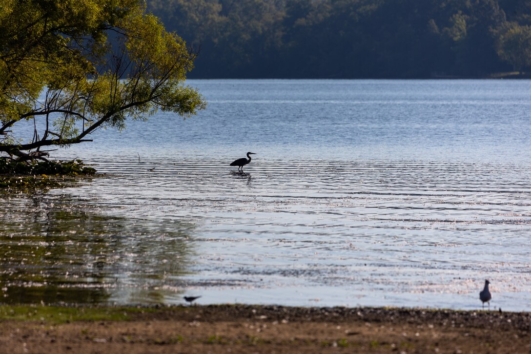 Mosquito Creek Lake, located in Cortland, Ohio, is owned and operated by the U.S. Army Corps of Engineers Pittsburgh District. The reservoir provides flood protection for the Mahoning River Valley as well as for the Beaver and upper Ohio rivers. Mosquito Creek Lake also stores water and releases it downstream during dry periods to improve water quality and quantity for domestic and industrial use, recreation, aesthetics and aquatic life. The reservoir’s recreation areas offer residents and visitors with opportunities to camp, boat, picnic and enjoy a round of disk golf.