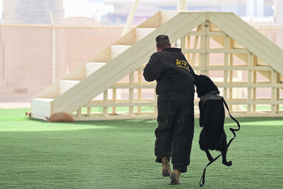 A dog jumps and grabs hold of a man's coat.