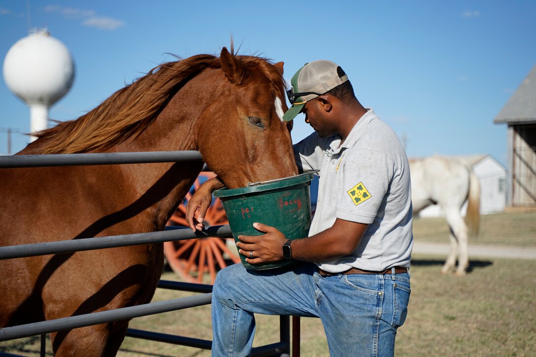 A soldier feeds his horse.