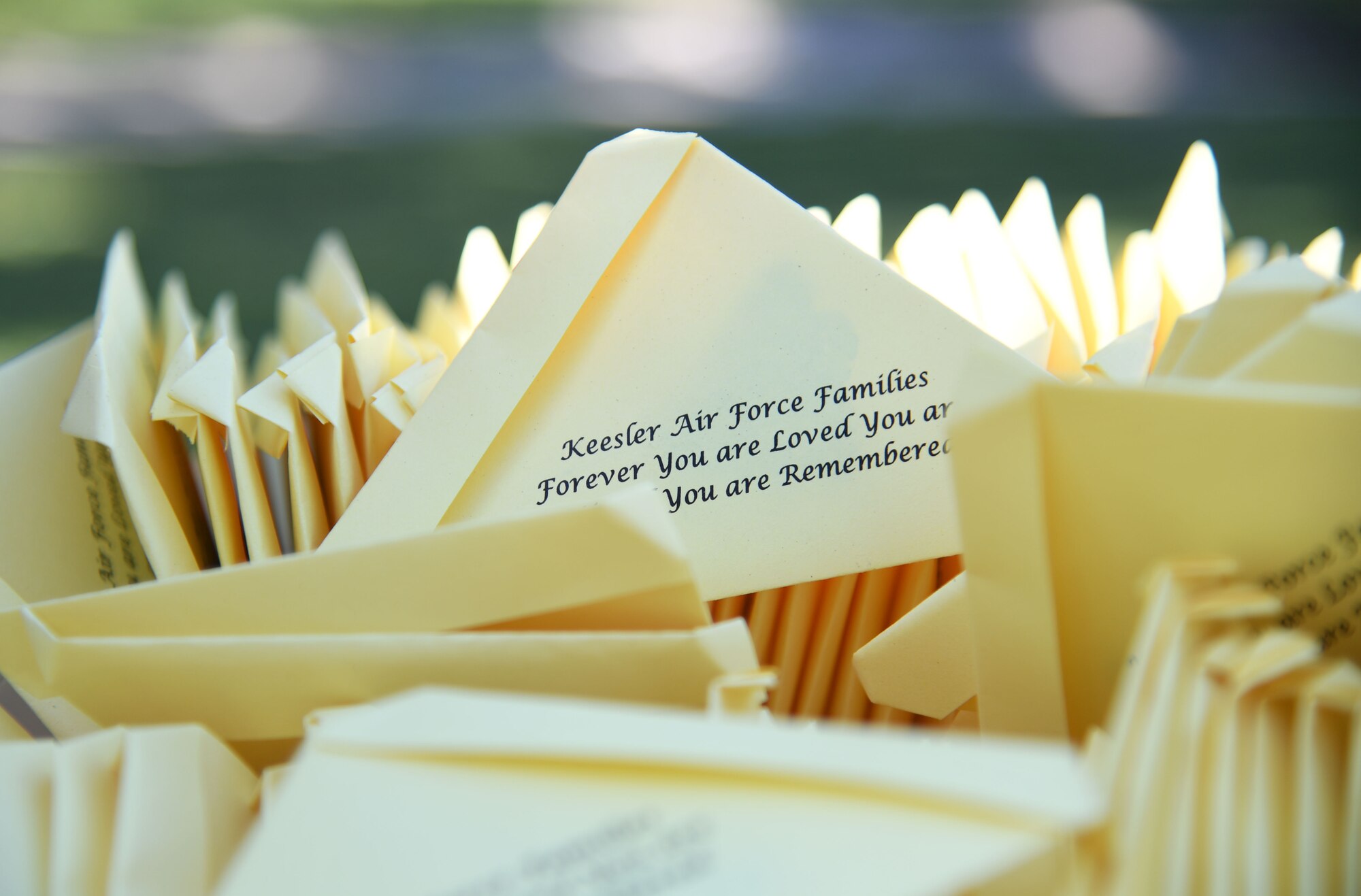 Packaged butterflies are displayed during the Air Force Families Forever Fallen Hero Butterfly Release at the marina park at Keesler Air Force Base, Mississippi, Sept. 23, 2022. The garden serves as a designated location where the families of our fallen heroes can find a serene area to pay tribute to their loved one as well as honoring our fallen service members. (U.S. Air Force photo by Kemberly Groue)