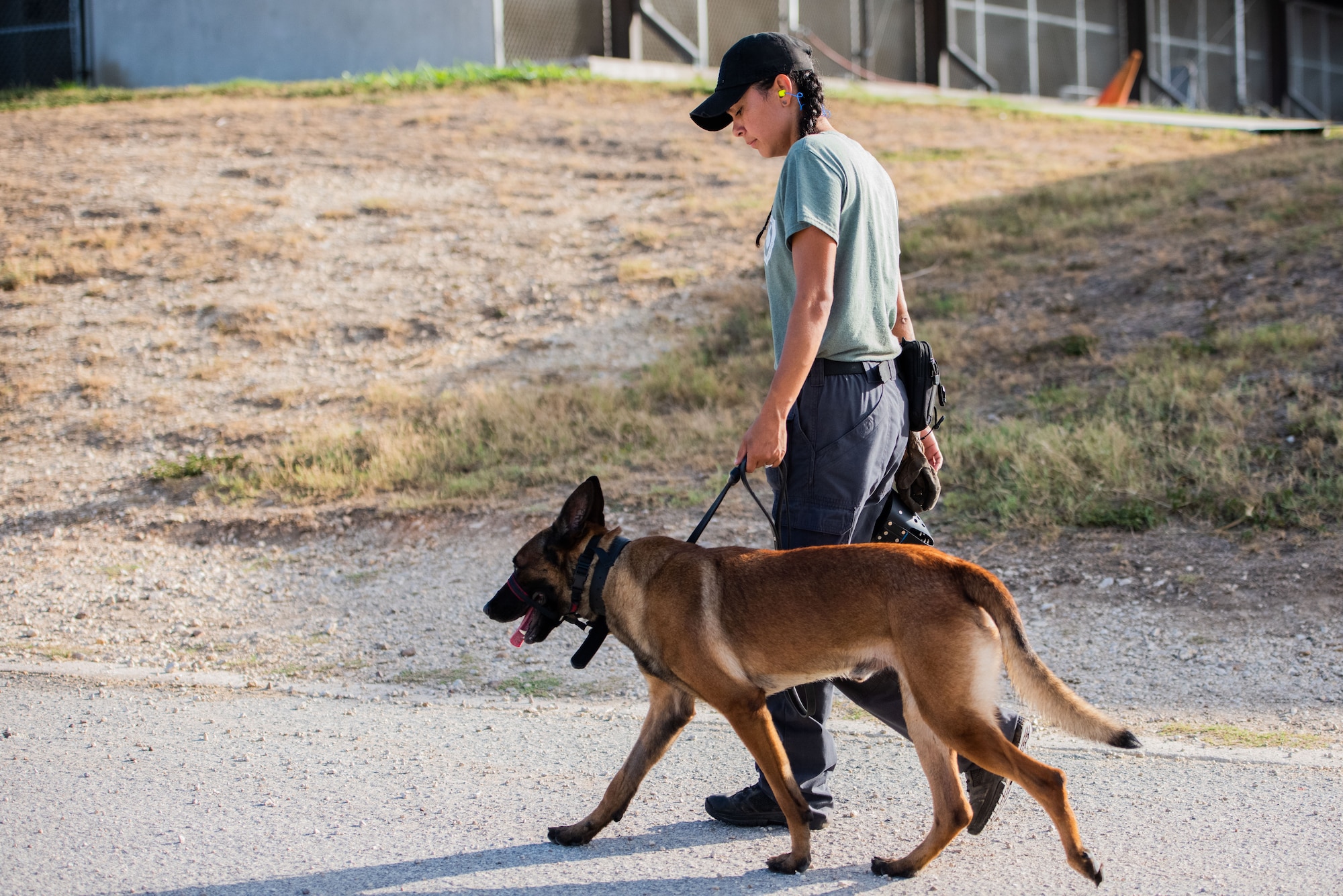 341st Training Squadron implements gentle leaders for MWDs