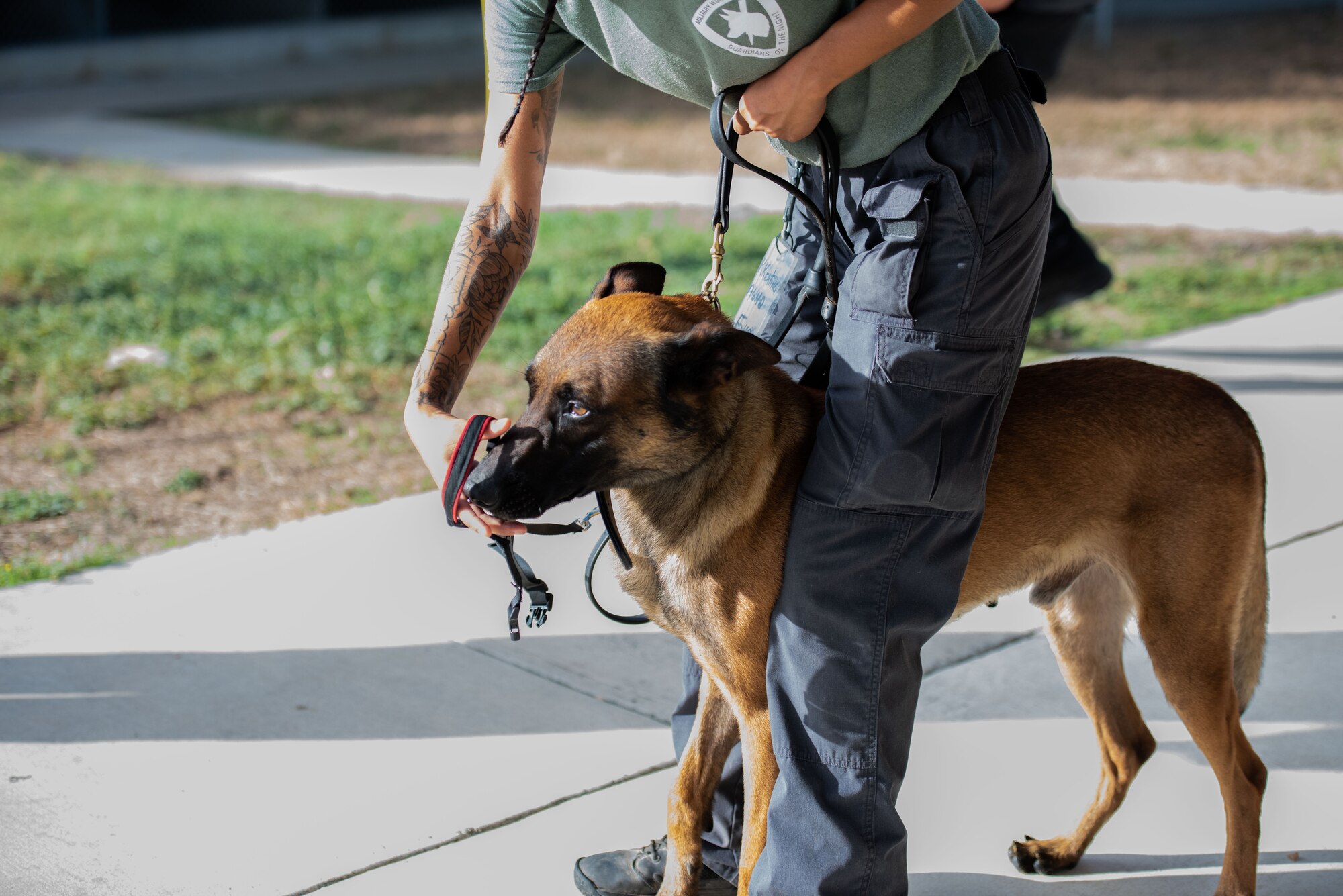 341st Training Squadron implements gentle leaders for MWDs