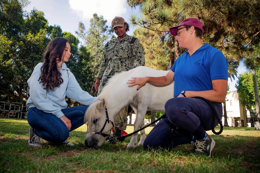 Two people kneel while one person stands next to a miniature horse in a park.