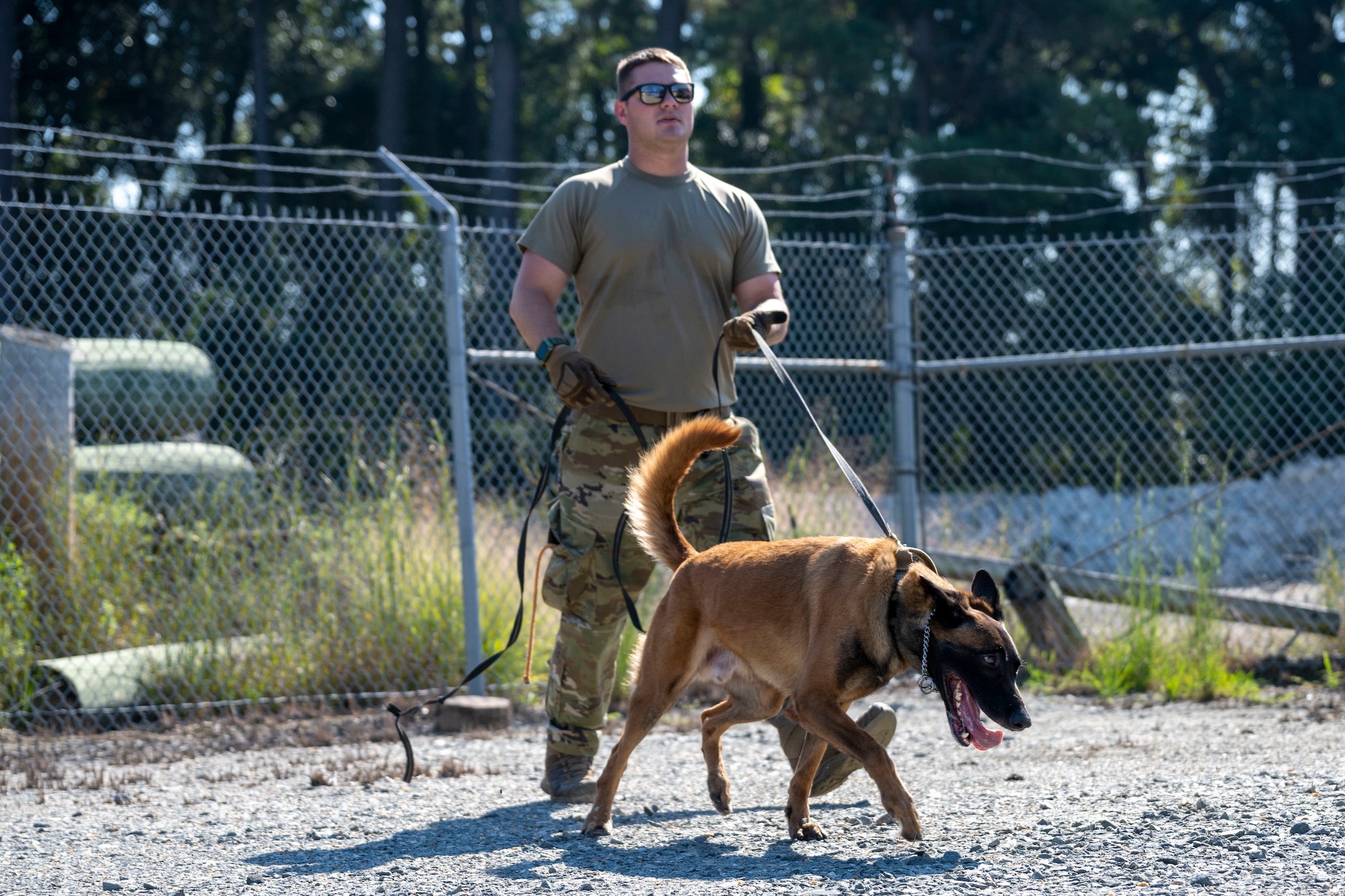 Staff Sgt. Kyle Johnson, 4th Security Forces Squadron military working dog handler, and his MWD Eenoch, participate in a training exercise with the Raleigh-Durham International Airport Transportation Security Administration at Seymour Johnson Air Force Base, North Carolina, Sept. 21, 2022. Explosive detection lanes are used to raise a K-9 and their handler’s proficiency levels. (U.S. Air Force photo by Senior Airman Kevin Holloway)