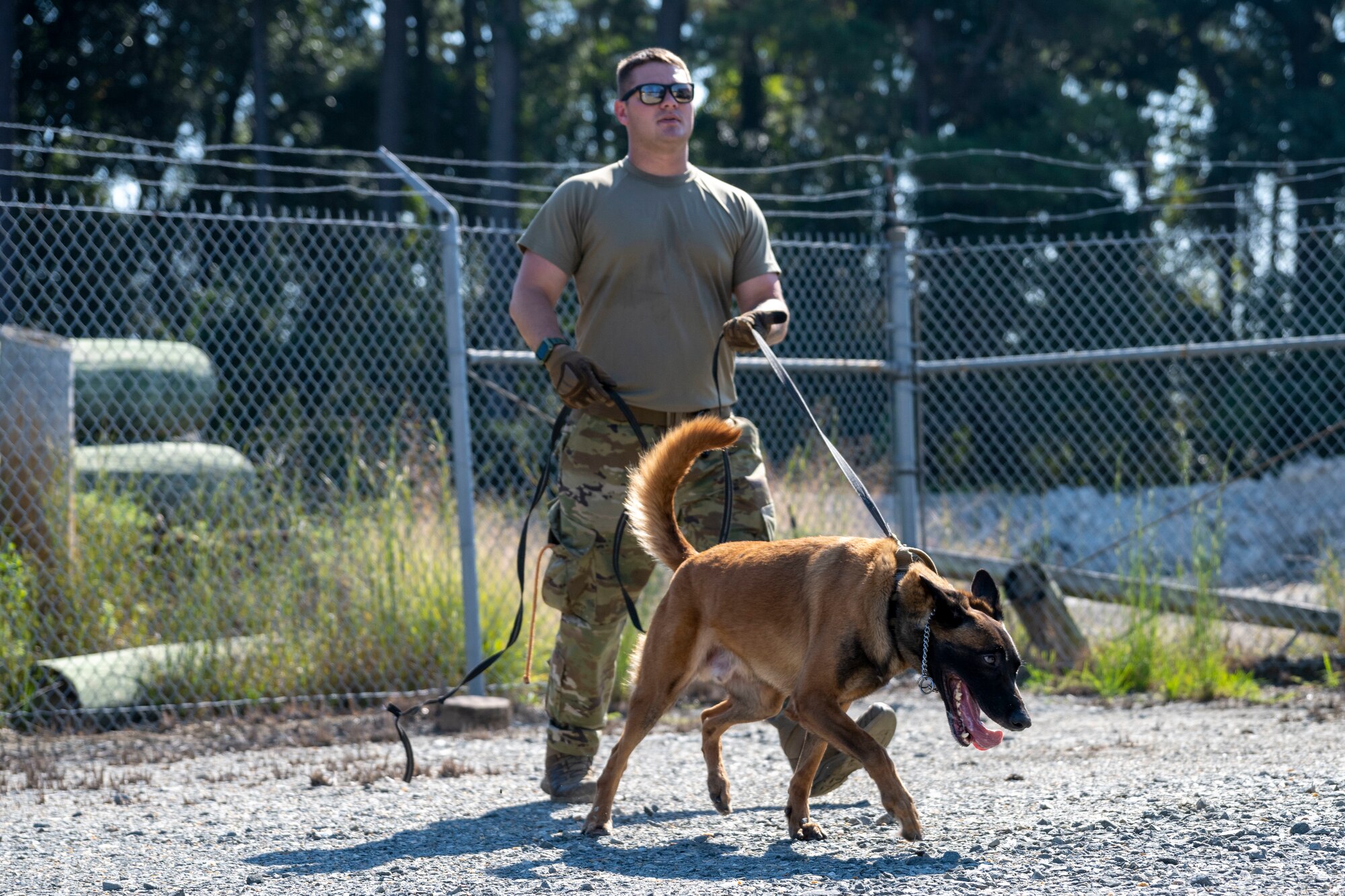 4th SFS TSA conduct K 9 training exercise Seymour Johnson Air