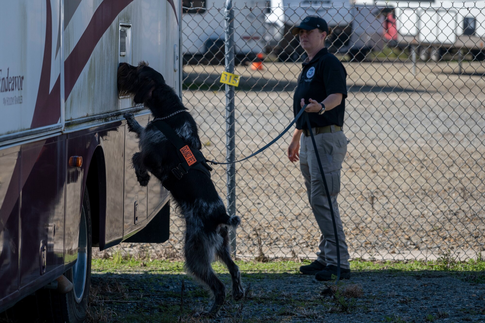 Natalie Weatherburn, Transportation Security Administration explosive detection K-9 handler, and her K-9, Eyes-Abel, participate in training exercise with the 4th Security Forces Squadron military working dog flight at Seymour Johnson Air Force Base, North Carolina, Sept. 21, 2022. During the training exercise, a K-9 and their handler stepped into an unfamiliar setting where they conducted a thorough search of the area and were judged by a panel of their peers on their overall performance as a team when detecting explosives or narcotics. (U.S. Air Force photo by Senior Airman Kevin Holloway)