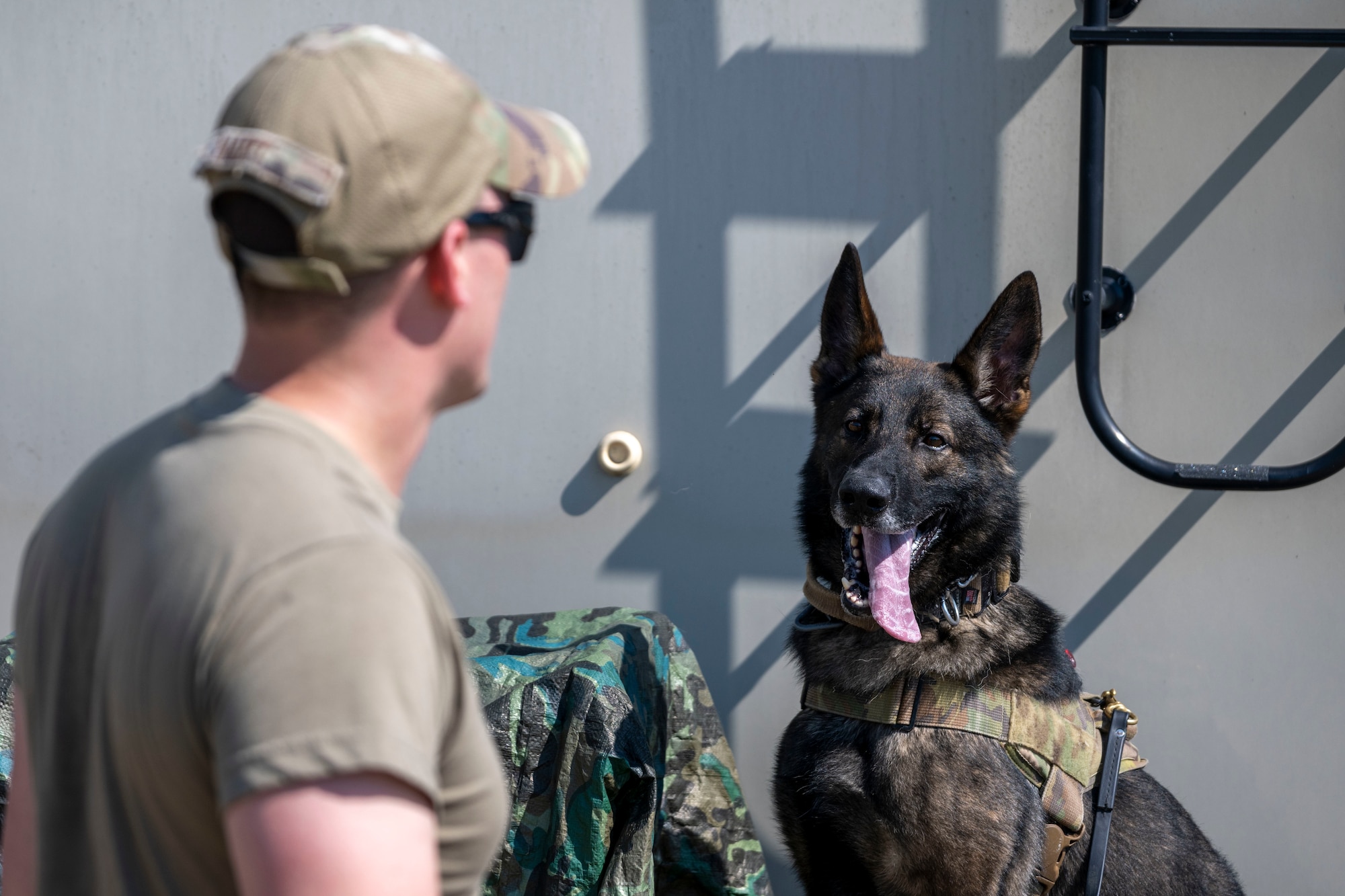 Staff Sgt. Zebulun Hart, 4th Security Forces Squadron military working dog handler, and his MWD participate in a training exercise with the Raleigh-Durham International Airport Transportation Security Administration at Seymour Johnson Air Force Base, North Carolina, Sept. 21, 2022. In order to challenge each of the participants, the items producing the odor being detected are placed in random locations that may suppress the scent, therefore making it harder for the dog to find. (U.S. Air Force photo by Senior Airman Kevin Holloway)