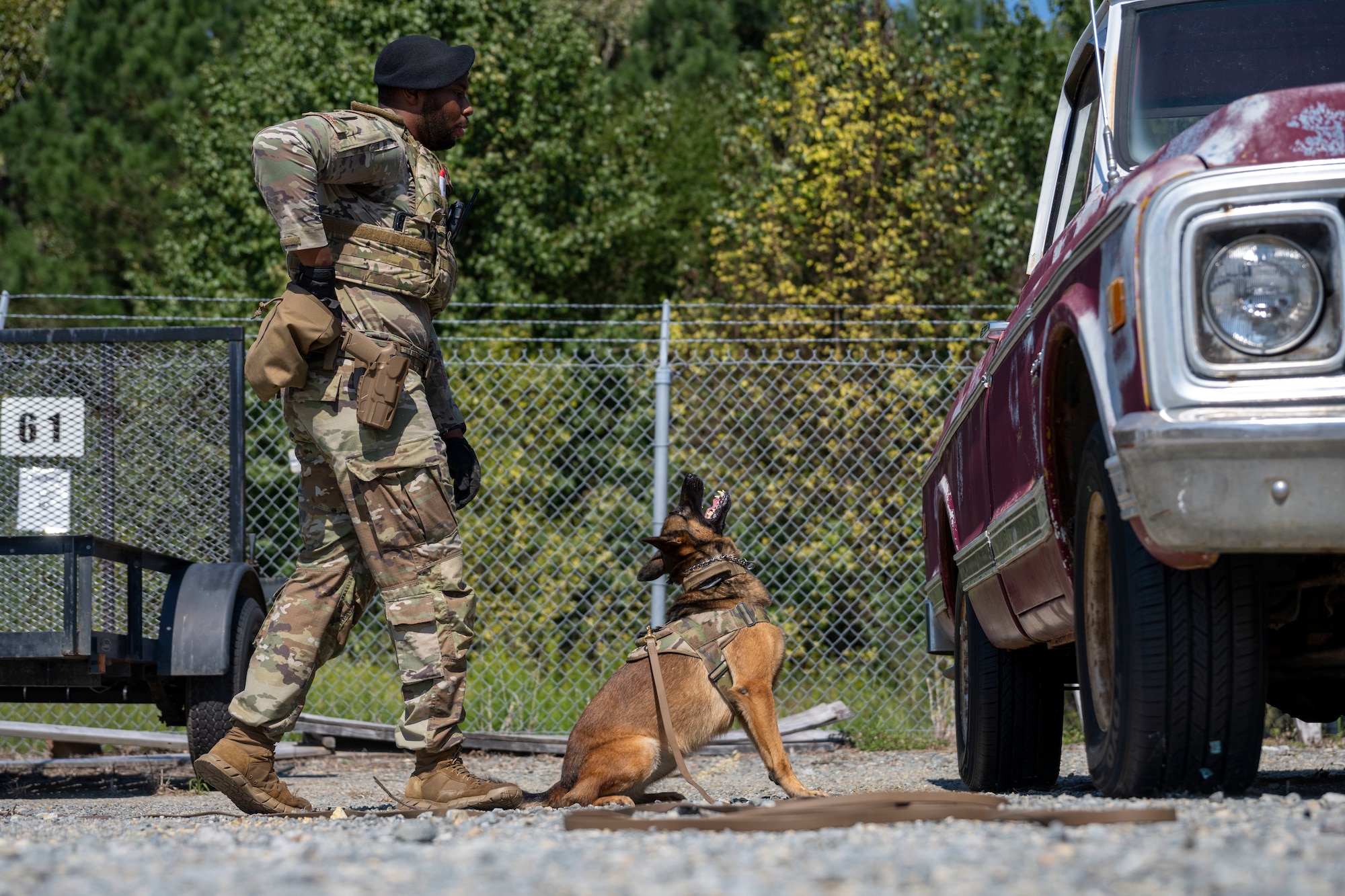 Staff Sgt. Deandre Turner, 4th Security Forces Squadron military working dog handler, and his MWD, Bonie, participate in a training exercise with the Raleigh-Durham International Airport Transportation Security Administration at Seymour Johnson Air Force Base, North Carolina, Sept. 21, 2022. The training included a narcotic detection portion and a bomb detection portion. (U.S. Air Force photo by Senior Airman Kevin Holloway)