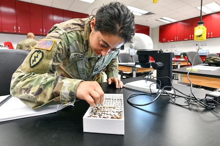 Students learn how to manage, prevent pests at MEDCoE course