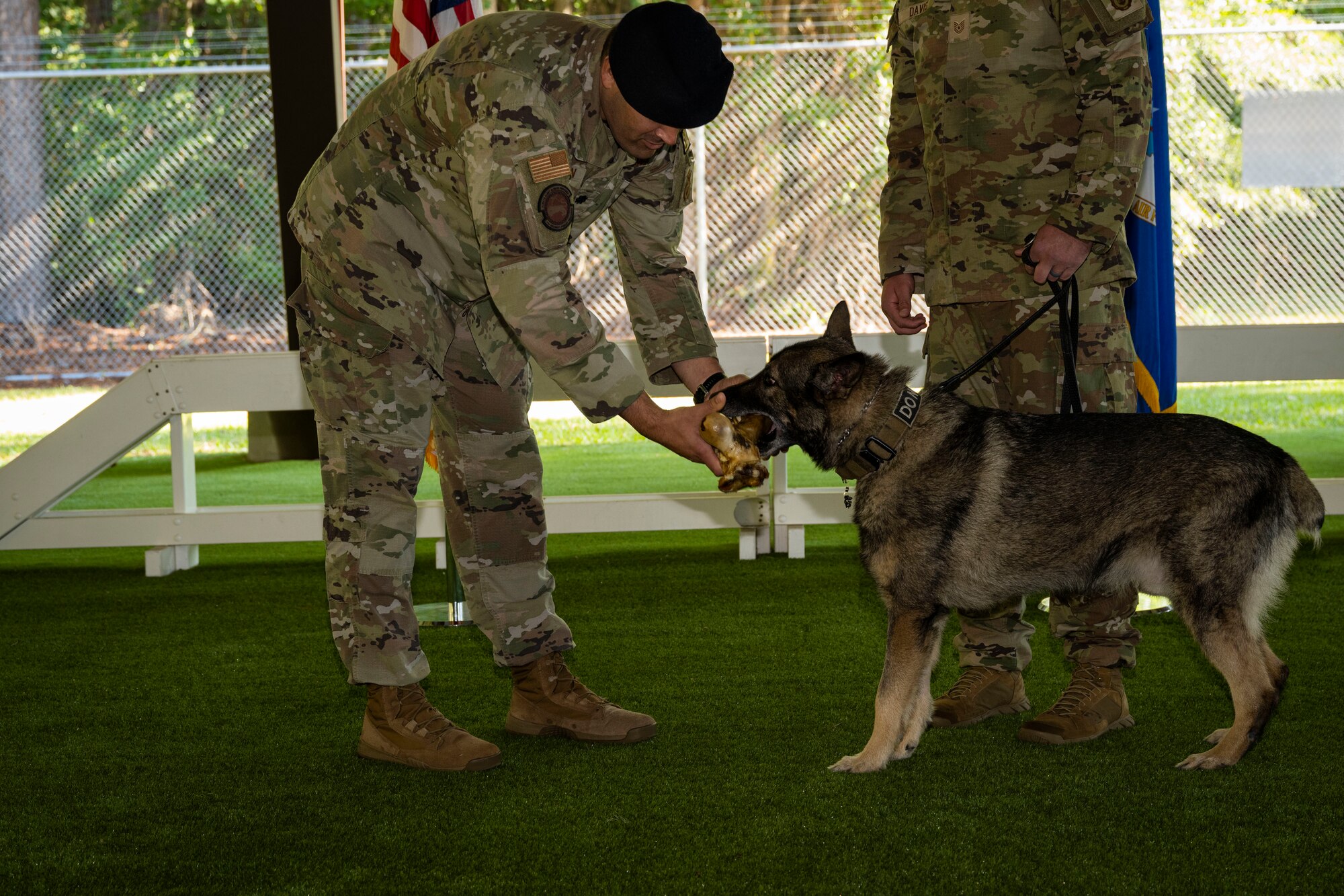 Lt. Col. Michael Wetlesen, 4th Security Forces Squadron commander, gives a bone to Military Working Dog Miko during a retirement ceremony at Seymour Johnson Air Force Base, North Carolina, Sept. 26, 2022. Miko went on three deployments during his time in service; one to Jordan, and two to Qatar. (U.S. Air Force photo by Senior Airman David Lynn)