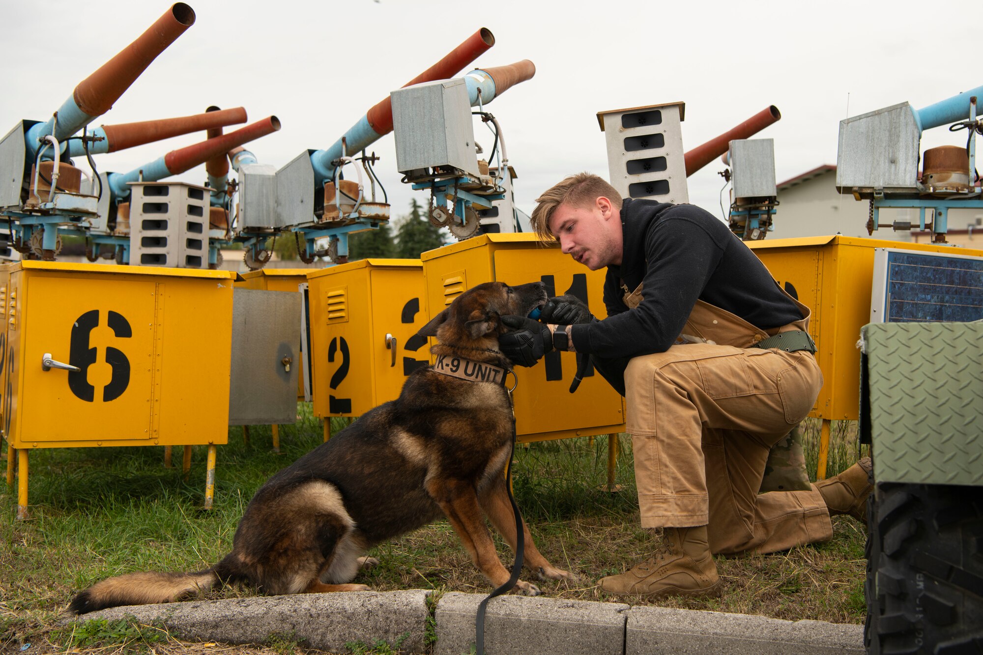 Kay, 31st Security Forces military working dog, receives his toy from Senior Airman Ian Moran, 31st Security Forces military working dog handler, after detecting a simulated explosive during training at Aviano Air Base, Italy, Sept. 28, 2022. Explosive detection is a critical duty of MWDs due to its role in safety. (U.S. Air Force photo by Airman 1st Class Thomas Calopedis)