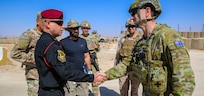 Iraq's Federal Intelligence Investigation Agency receives vehicles valued at approximately $18 million at Al Asad Air Base, Iraq on September 24, 2021. The equipment was divested as part of a U.S. program known as CTEF, or Counter-ISIS Train and Equip Fund, which supports the Iraqi Security Forces' mission to defeat Daesh and promote regional stability. (U.S. Army photo by SPC. Clara Soria-Hernandez)