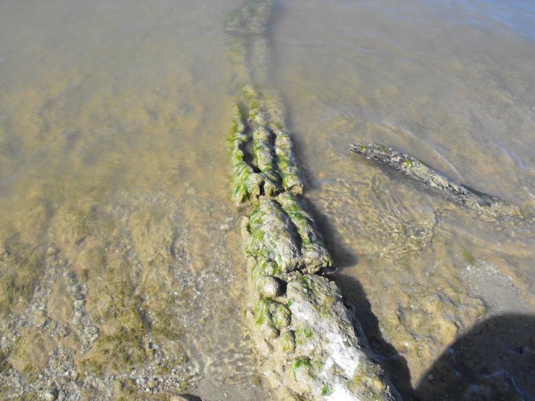 Sanctioned paleontological dig at Central Texas lake in June of 2016