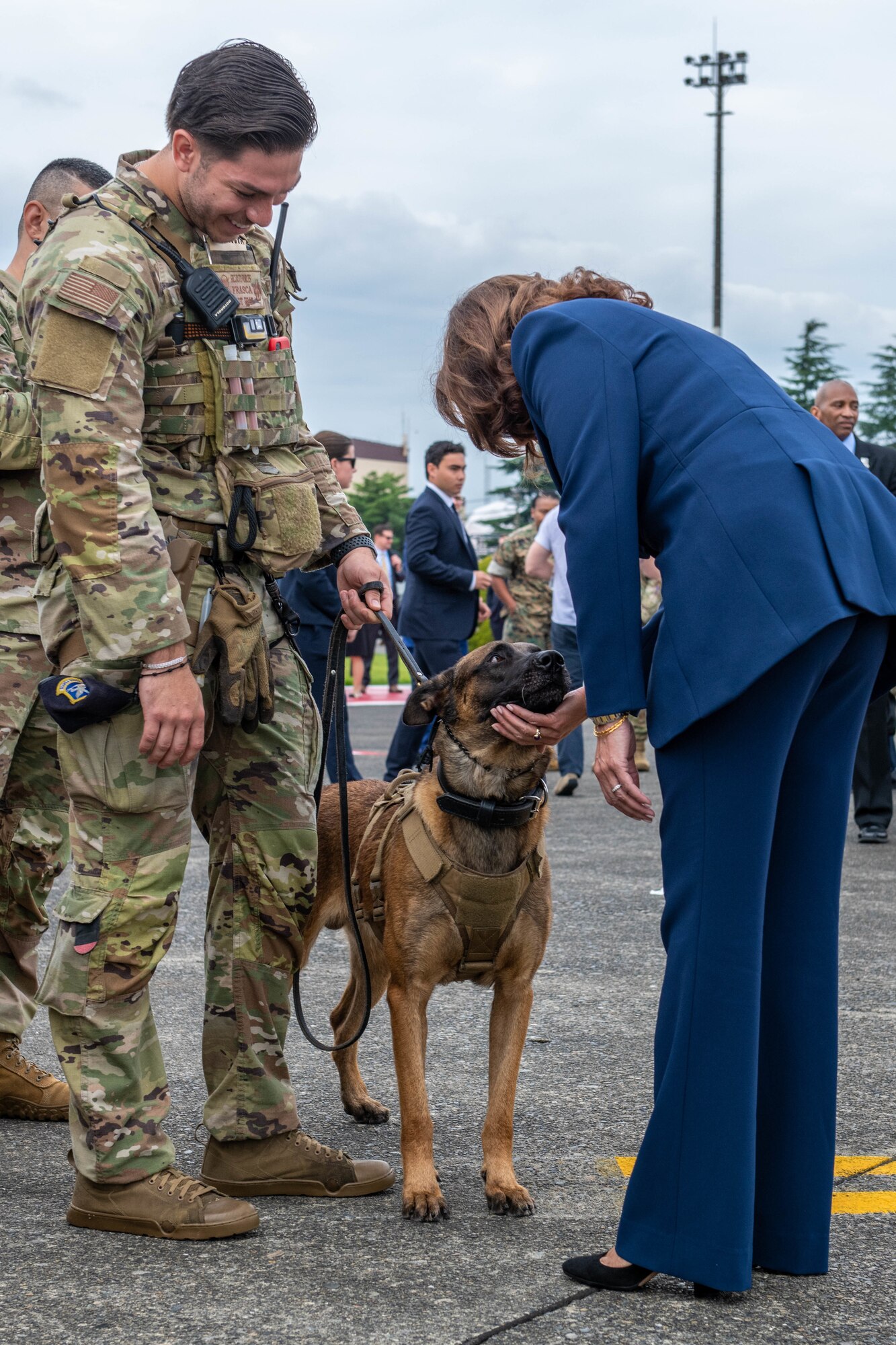 Vice President Harris greets a military working dog