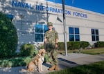 Cmdr. Tracy Krauss, Officer in Charge, Public Health Specialty Leader, and Norfolk-based facility therapy dog, Patty Mac, visited Naval Information Forces and the other two information warfare command on the DoD Suffolk Complex.  Patty Mac works in the waiting room of the Sewells Point Branch Health Clinic where she has the opportunity to alert her handler of patients who are in emotional stress thereby allowing staff to identify ways to help.  (U.S. Navy Photo by Jason Rodman/Released)