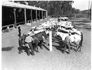 USCG Beach Patrol, circa 1943