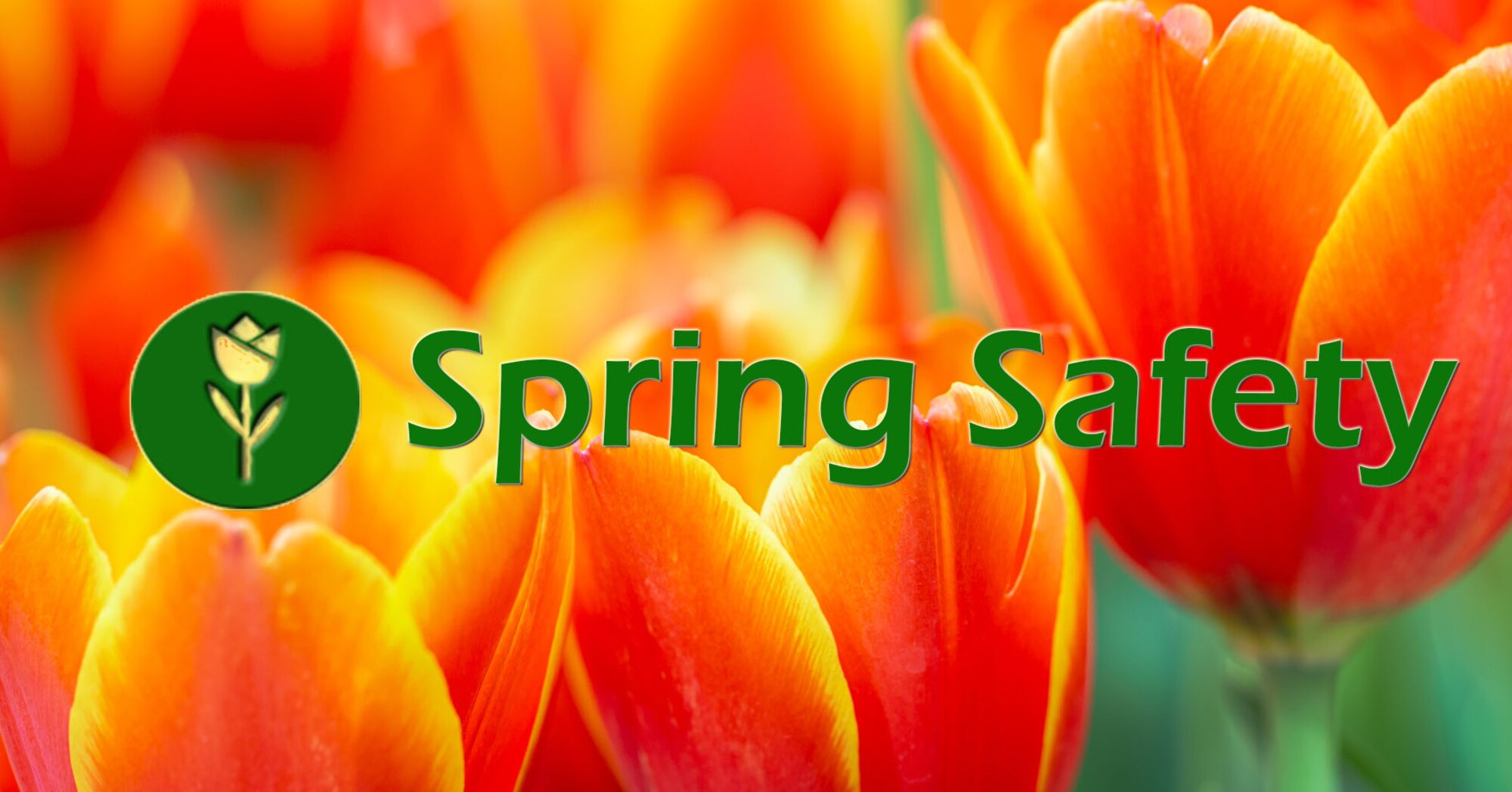 spring Safety