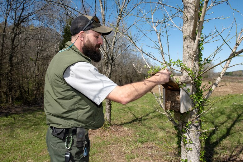 Park Ranger Steve Acuff, biologist and natural resources specialist at Cheatham Lake, observes a bluebird nest along the TSU Trail near Sam’s Creek while inspecting the area March 27, 2023, in Ashland City, Tennessee. (USACE Photo by Lee Roberts)