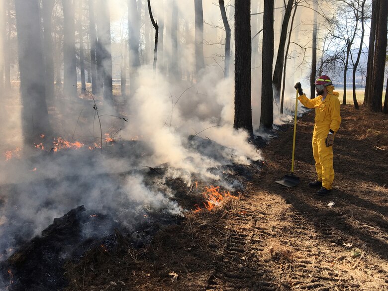 Park Ranger Steve Acuff, biologist and natural resources specialist at Cheatham Lake, conducts a prescribed burn Feb. 14, 2022, in a pine forest nearby Cheatham Dam in Ashland City, Tennessee, to restore its understory. (USACE Photo by Tadd Potter)