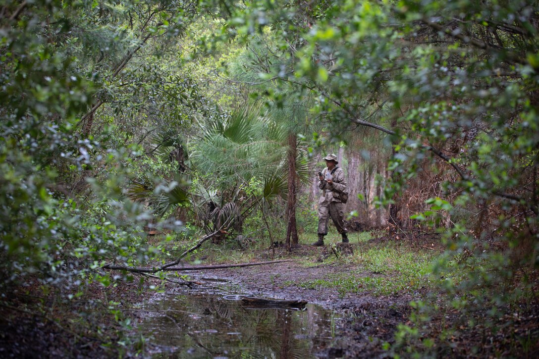 A Marine walks through the woods.