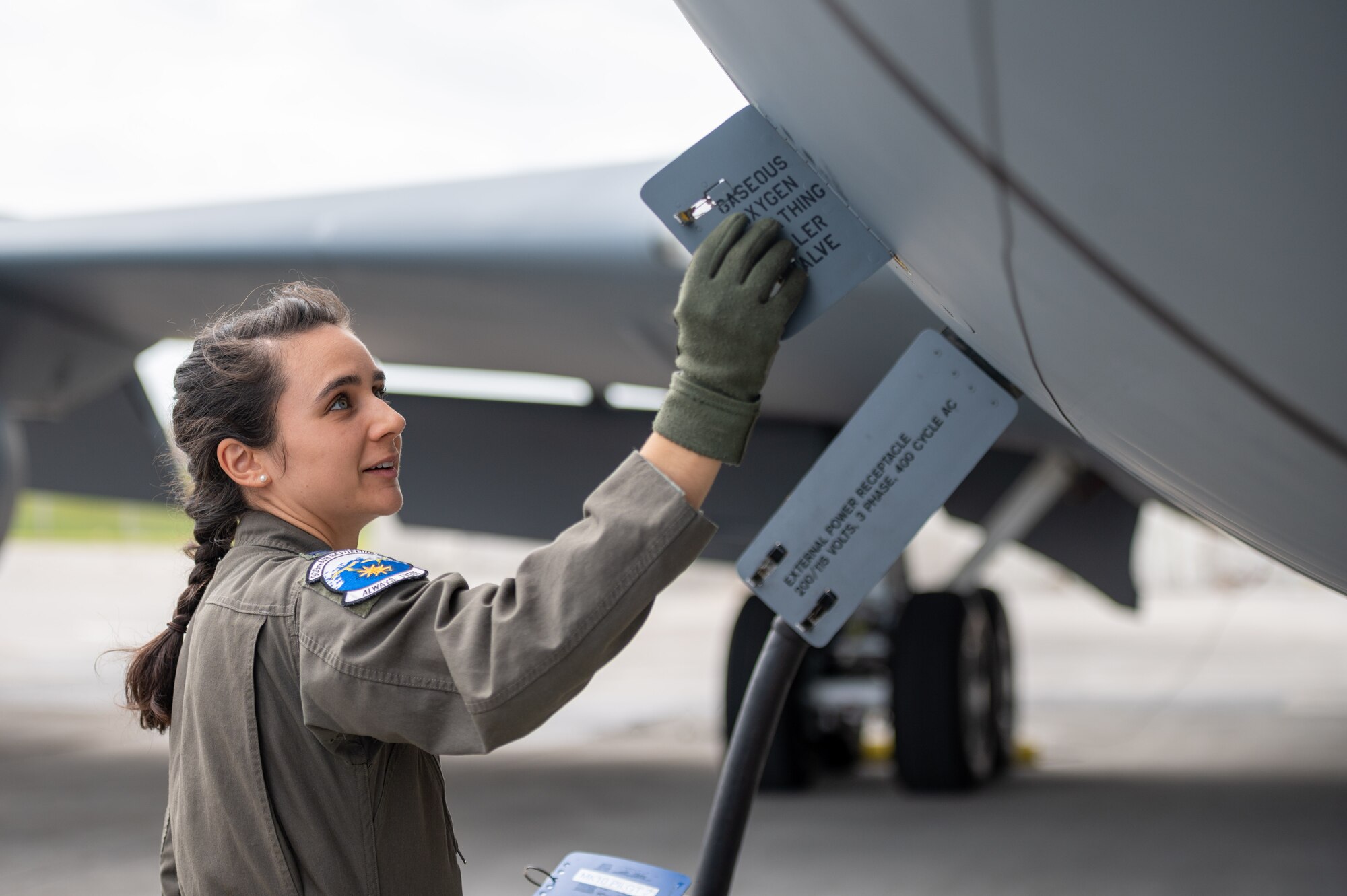 Pilot inspects a plane