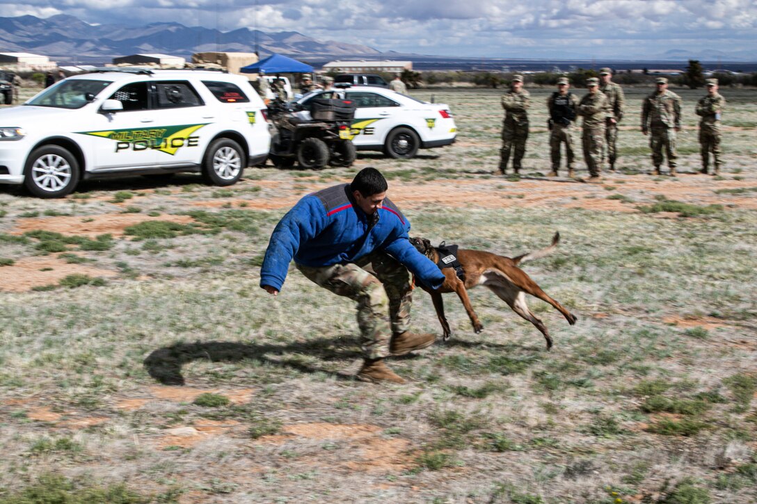 NETCOM, Fort Huachuca support 'A Day in the Life'