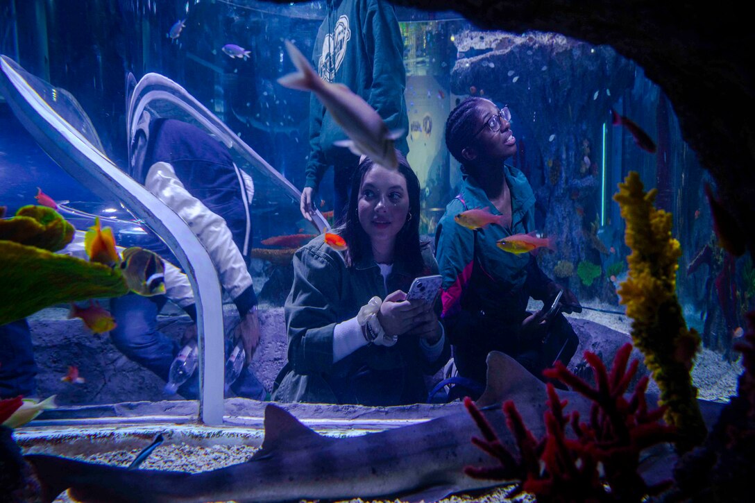 Two sailors seen through an aquarium tank.