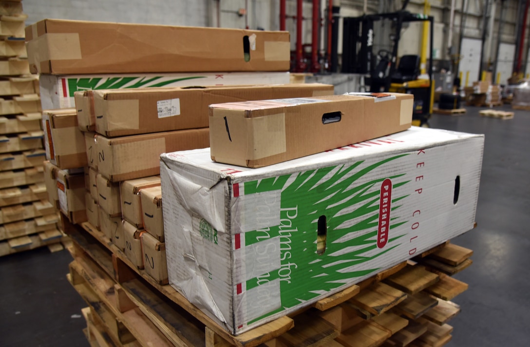 DLA Distribution and Troop Support team up for palm distribution