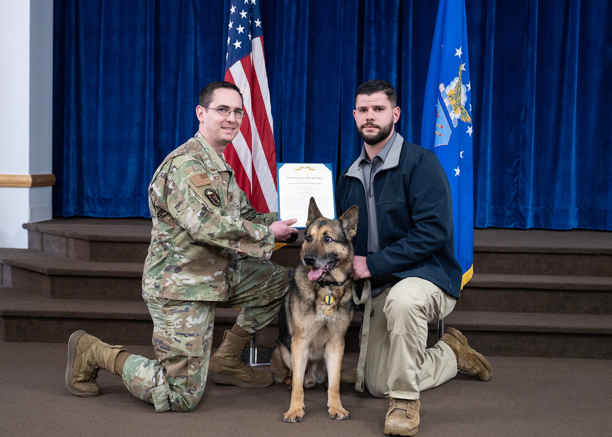 german shepherd dog posing with award certificate and Air Force commendation medal hanging from his collar