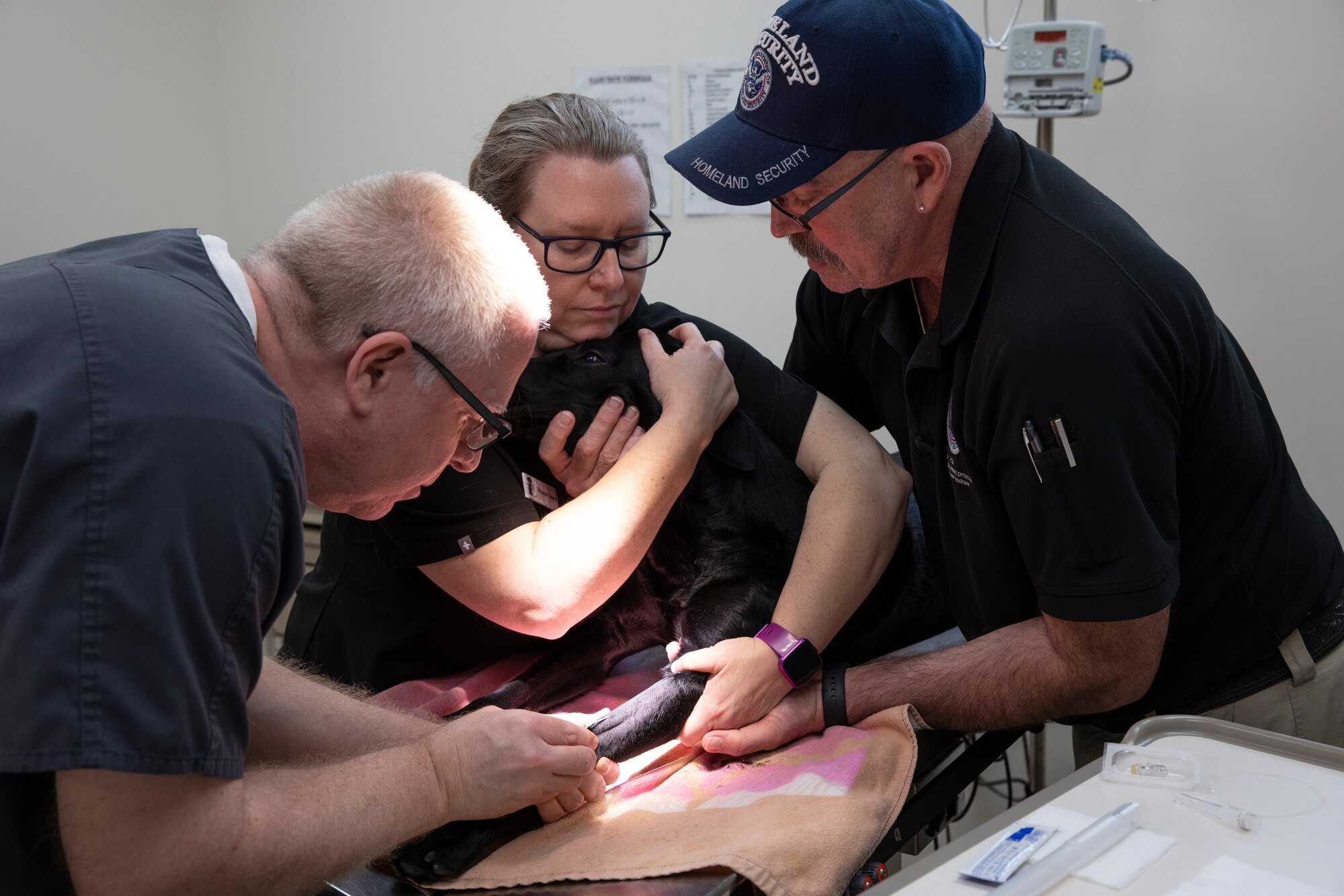Three people restrain dog during medical procedure