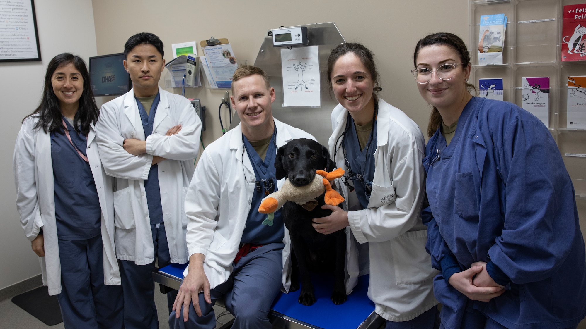 Canal animal clinic on sale