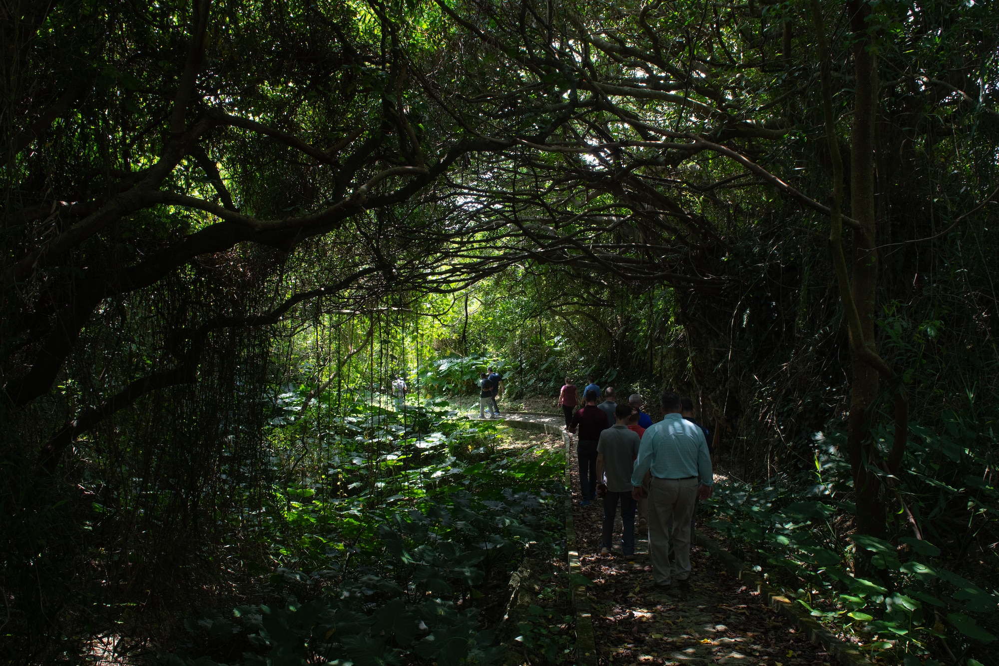 Airmen hike through a park.