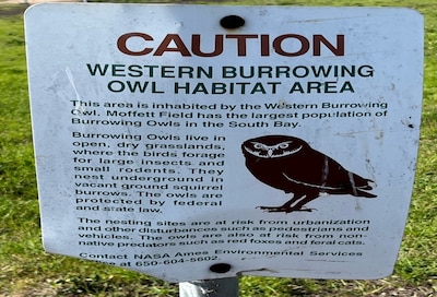 a sign about the Western Burrowing Owl