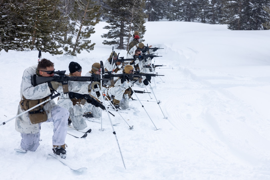 A line of US Marines holding fire position while wearing skis