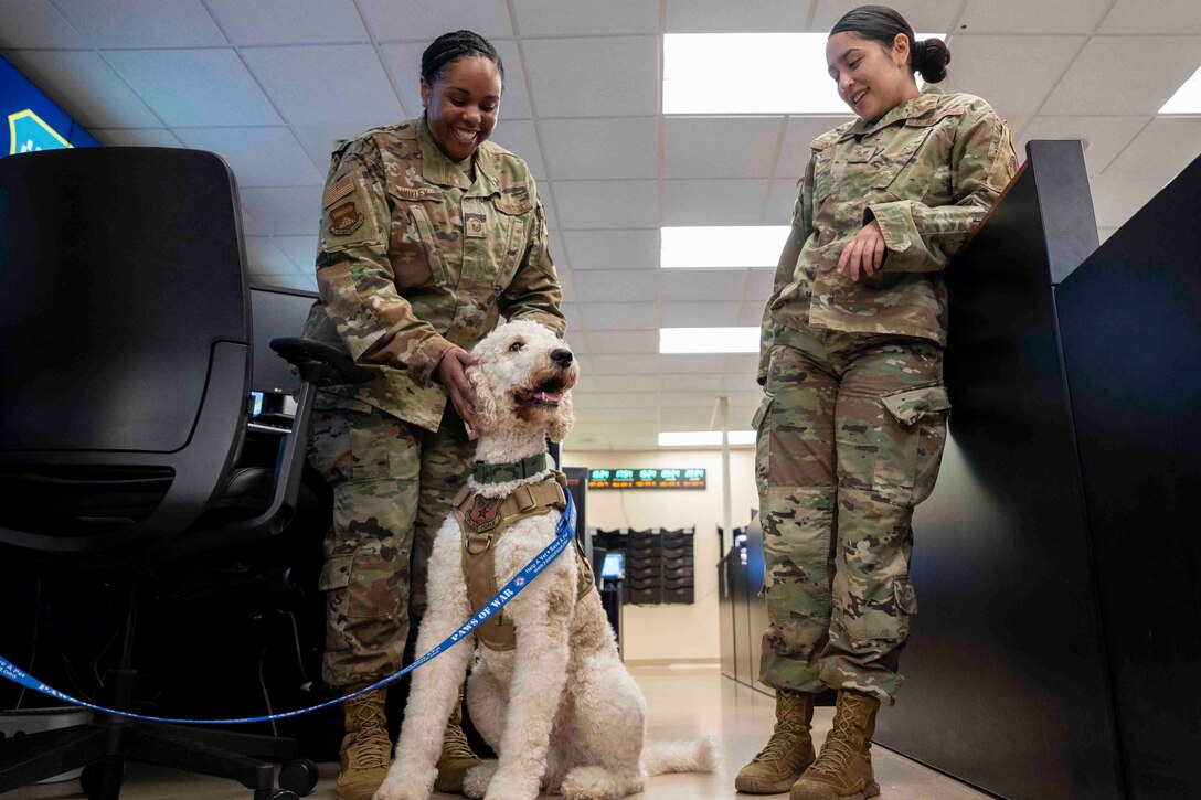 An airman pets a dog as another airman watches.