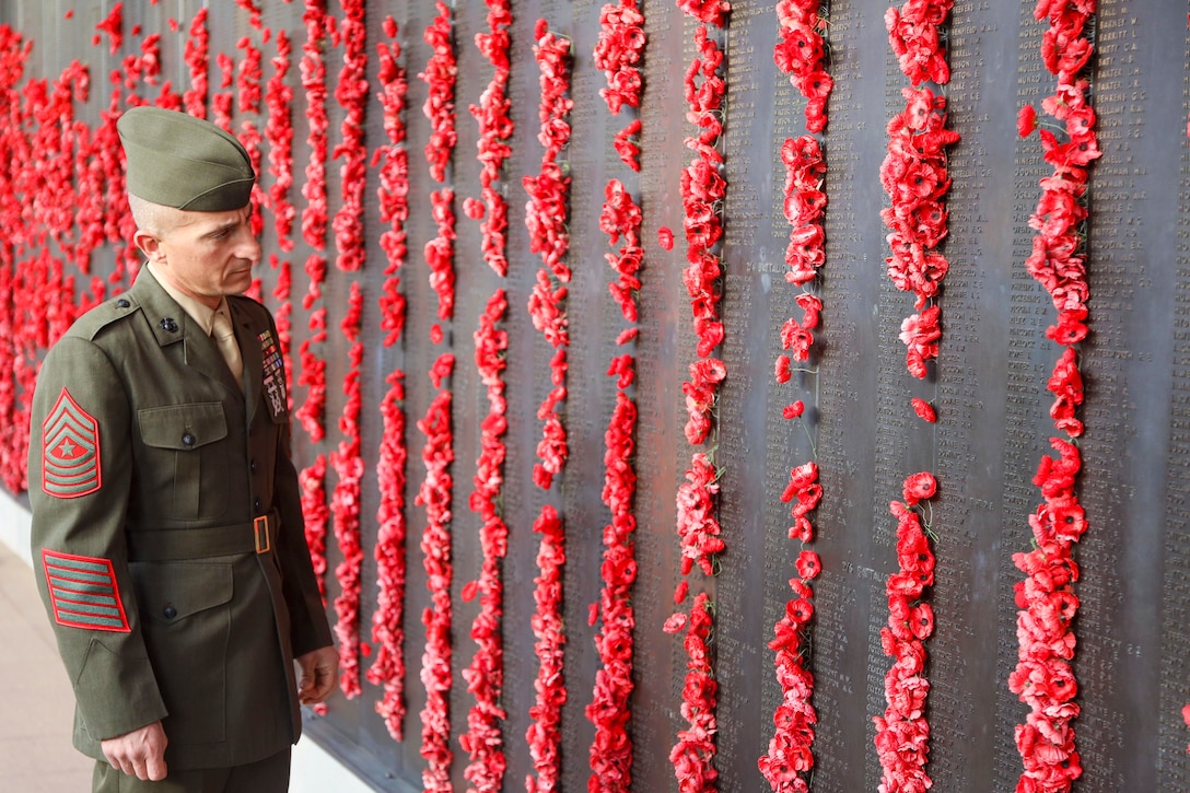 A Marine looks at a memorial wall with vertical rows of red poppies.