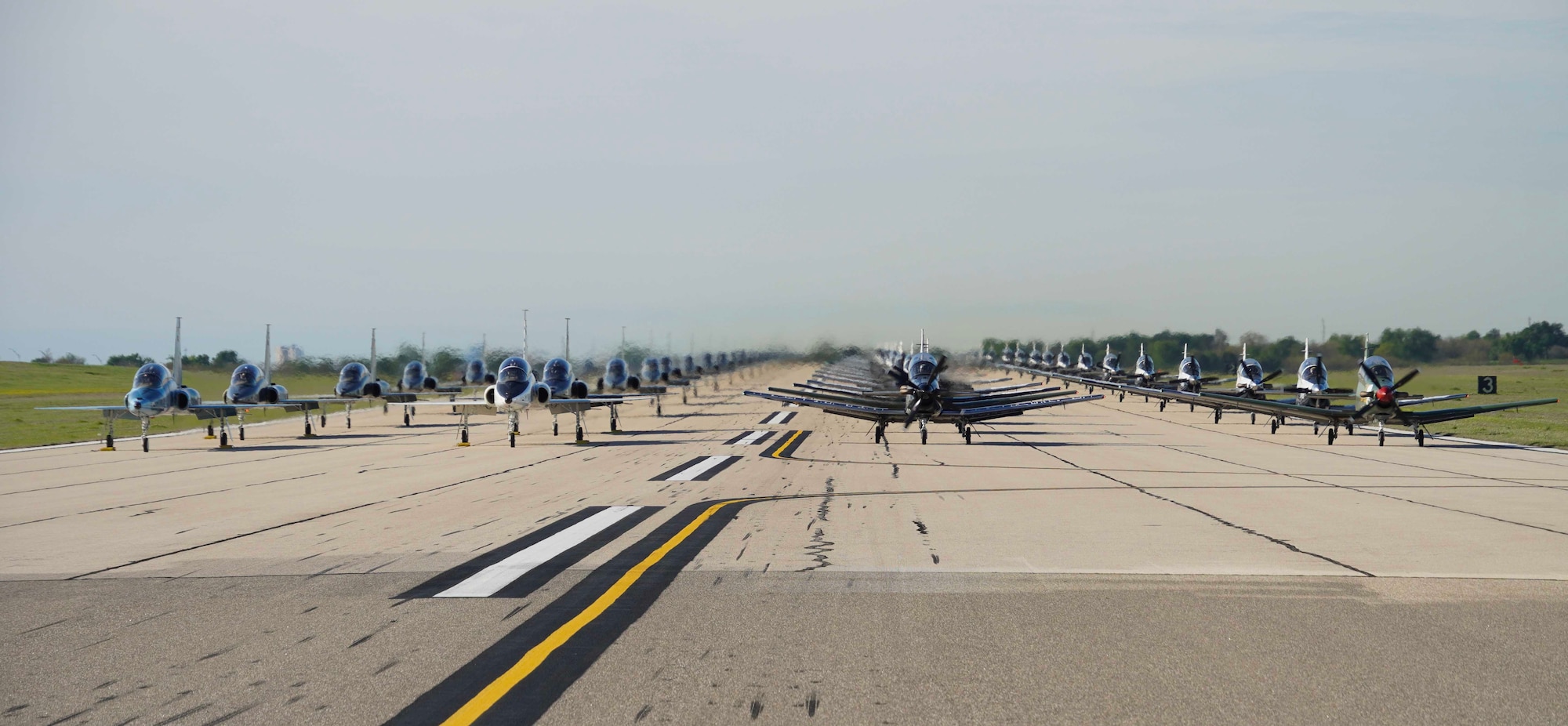 Sheppard Air Force Base elephant walk