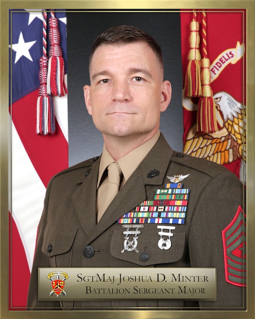 Sergeant Major Joshua D. Minter > 3rd Marine Division > Biography
