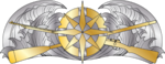 The Response Operations Ashore Insignia
