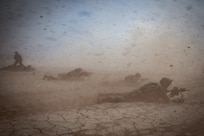 VNG public affairs NCO named Military Photographer of the Year