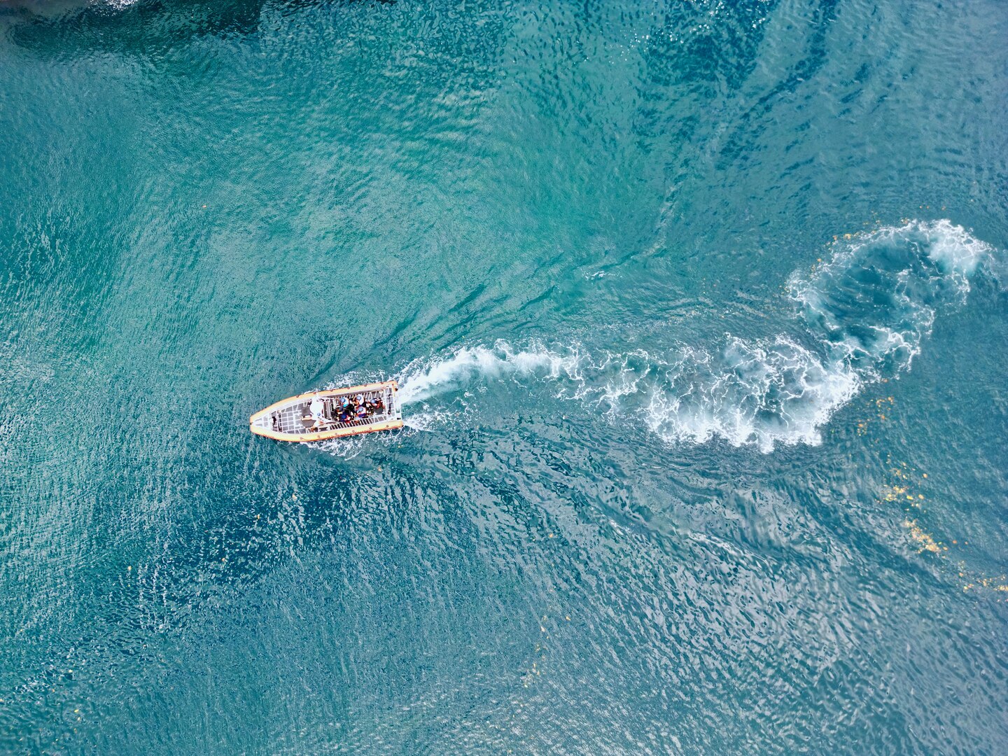 School tours in Palau aboard small boat