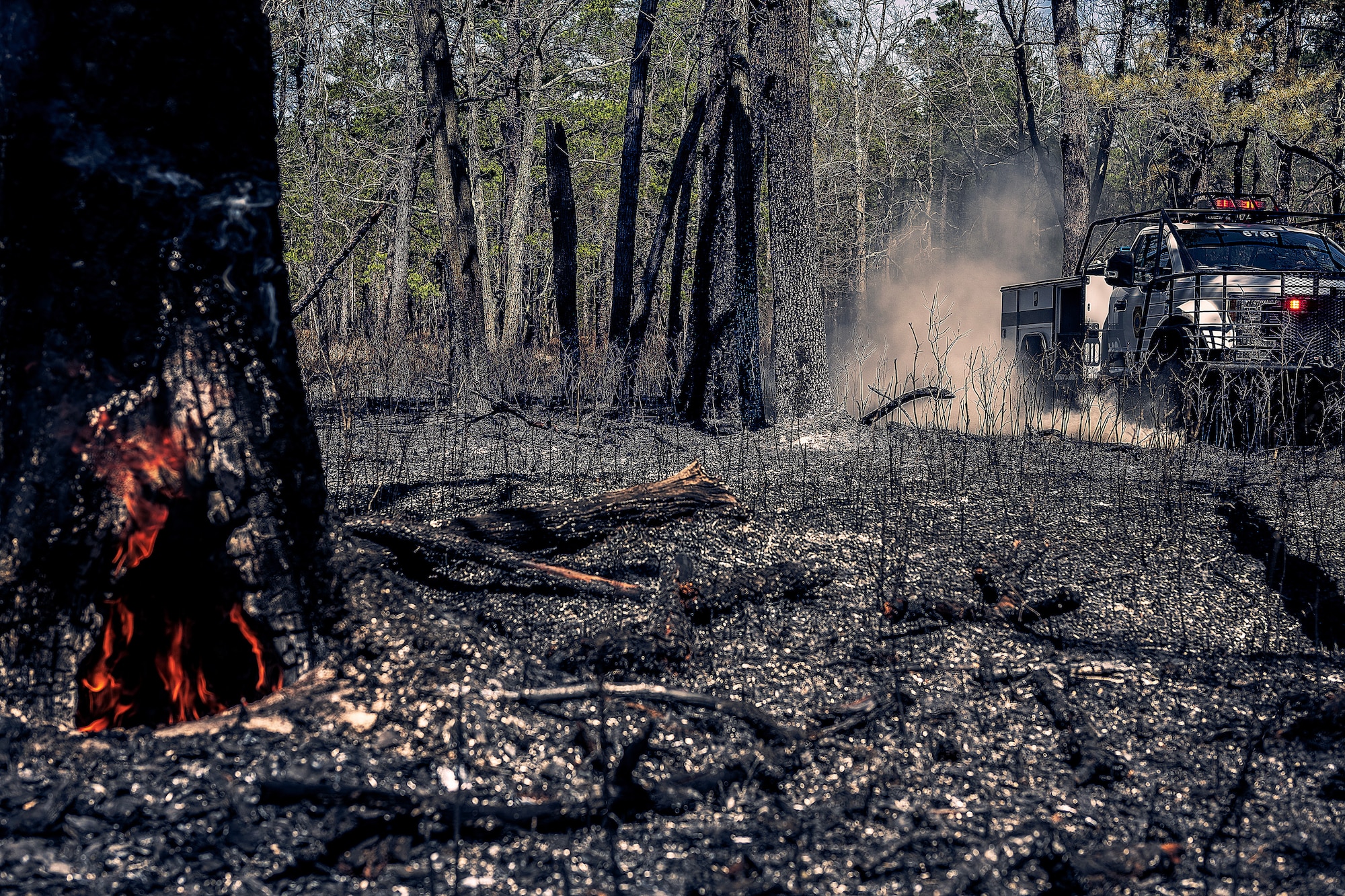 A photo of Joint Base McGuire-Dix-Lakehurst firefighters doing the mop-up phase of a major wildfire.