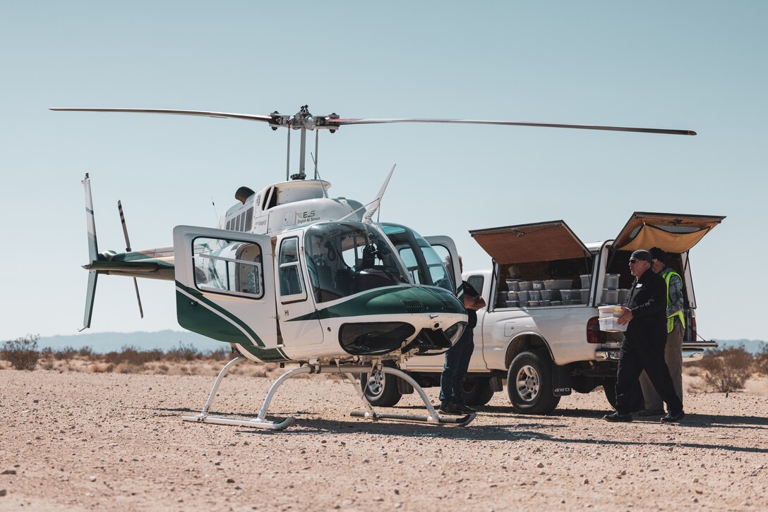 Desert tortoises are loaded into a helicopterMC